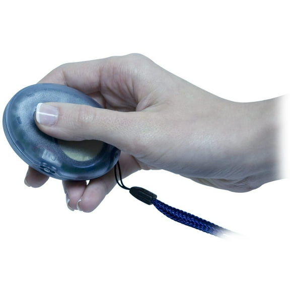 Digital Talking Compass - English-Spanish speaking