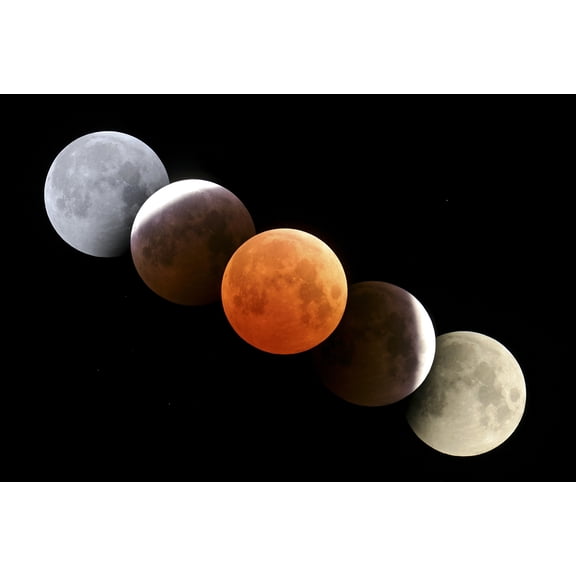 Digital composite of total lunar eclipse Canvas Art - Alan DyerStocktrek Images (18 x 12)