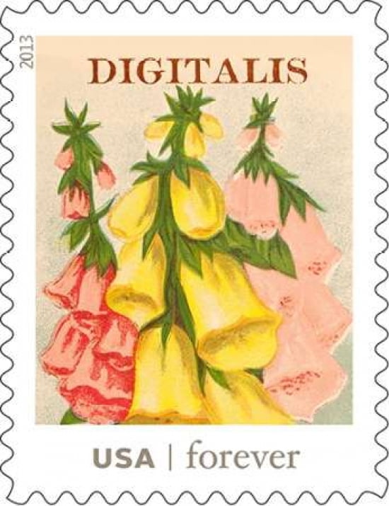 Digitalis Canvas Art - US POSTAL SERVICE (22 x 28)