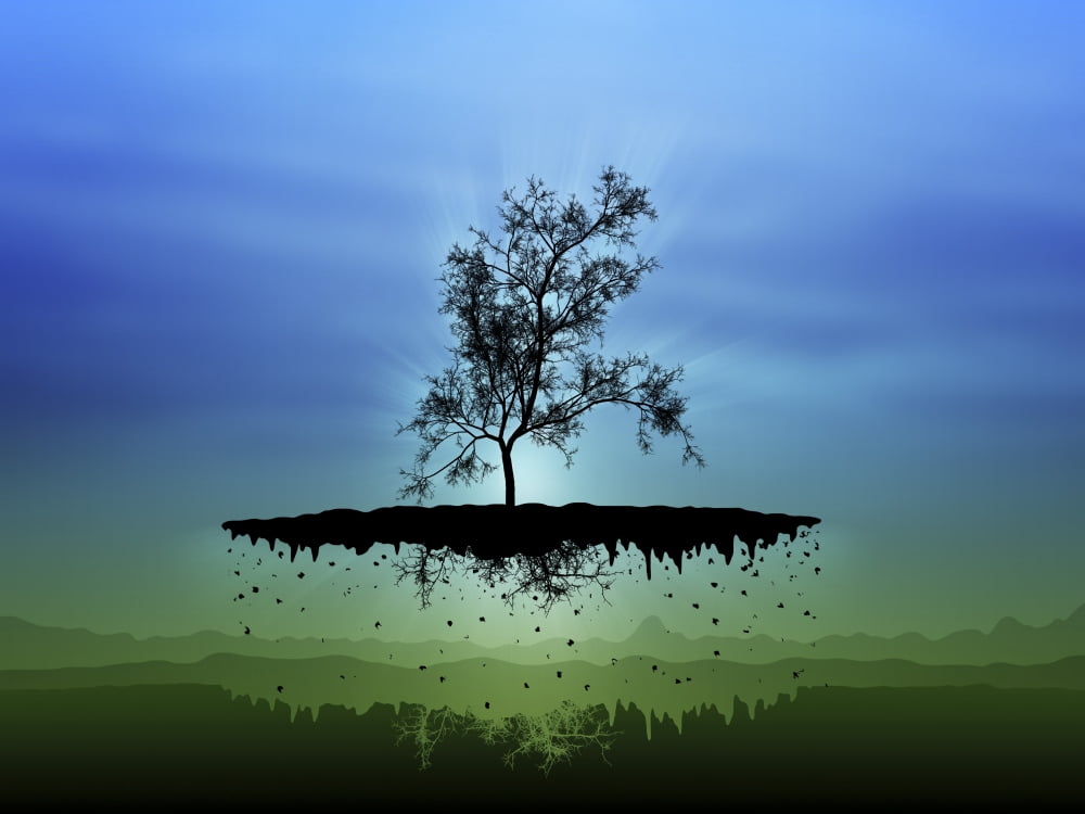 Digitally generated image of a flying tree Canvas Art - Vlad GerasimovStocktrek Images (33 x 25)