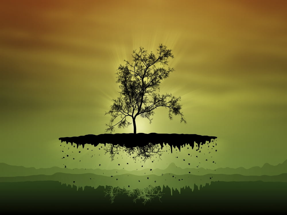 Digitally generated image of a flying tree Canvas Art - Vlad GerasimovStocktrek Images (33 x 25)