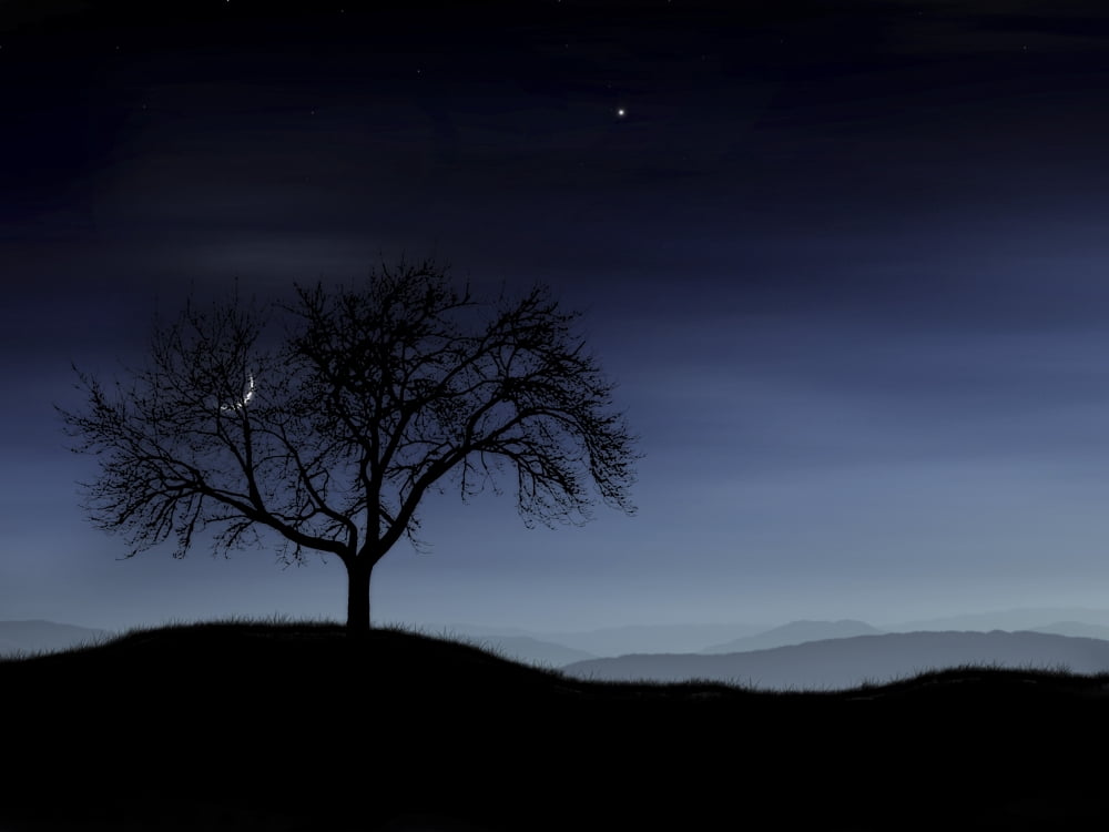 Digitally generated image of a tree and the moon Canvas Art - Vlad GerasimovStocktrek Images (33 x 25)