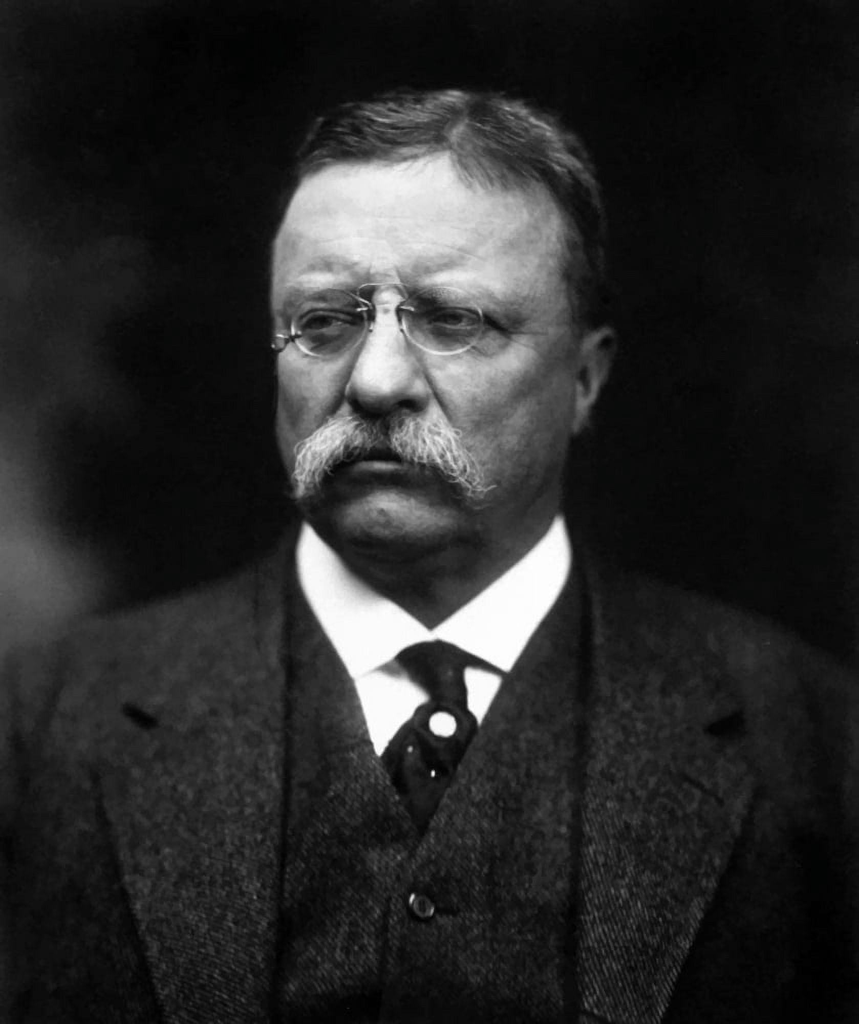 Digitally vector portrait of Theodore Roosevelt Canvas Art - John ParrotStocktrek Images (26 x 31)