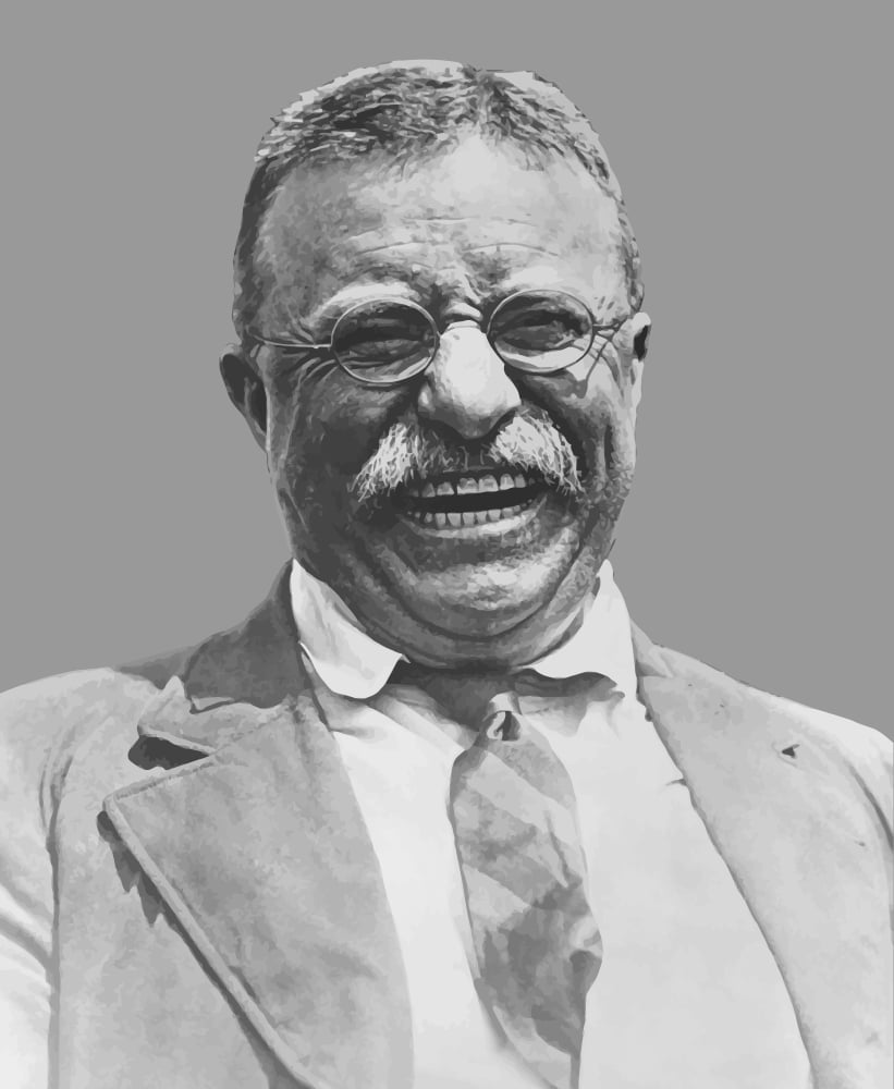 Digitally vector portrait of Theodore Roosevelt smiling Canvas Art - John ParrotStocktrek Images (26 x 31)