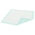 thumbnail image 1 of Dignity Extra Disposable Underpad Fluff 23X36" 333603 150 pads, 1 of 1