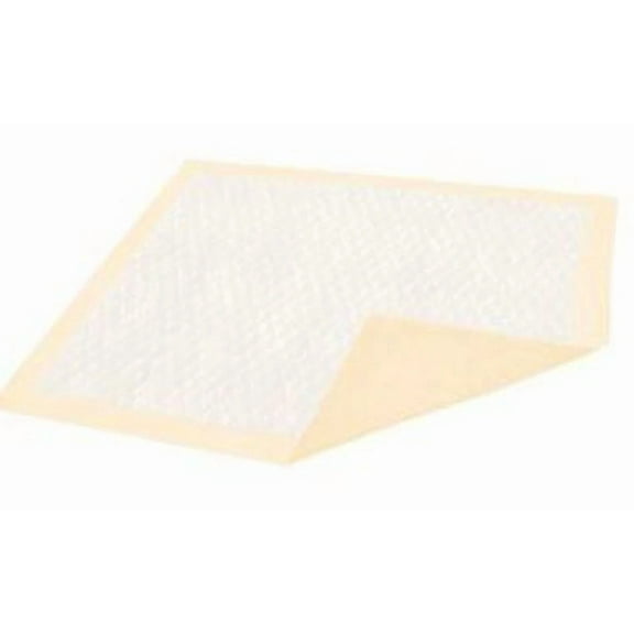 Dignity Plus Disposable Underpad Fluff / Polymer 30 X 36" 333607 10 Pads