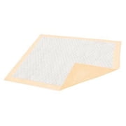 Dignity Premium Underpads, Moderate Absorbency, 30 Inches x 36 Inches, 100 Count