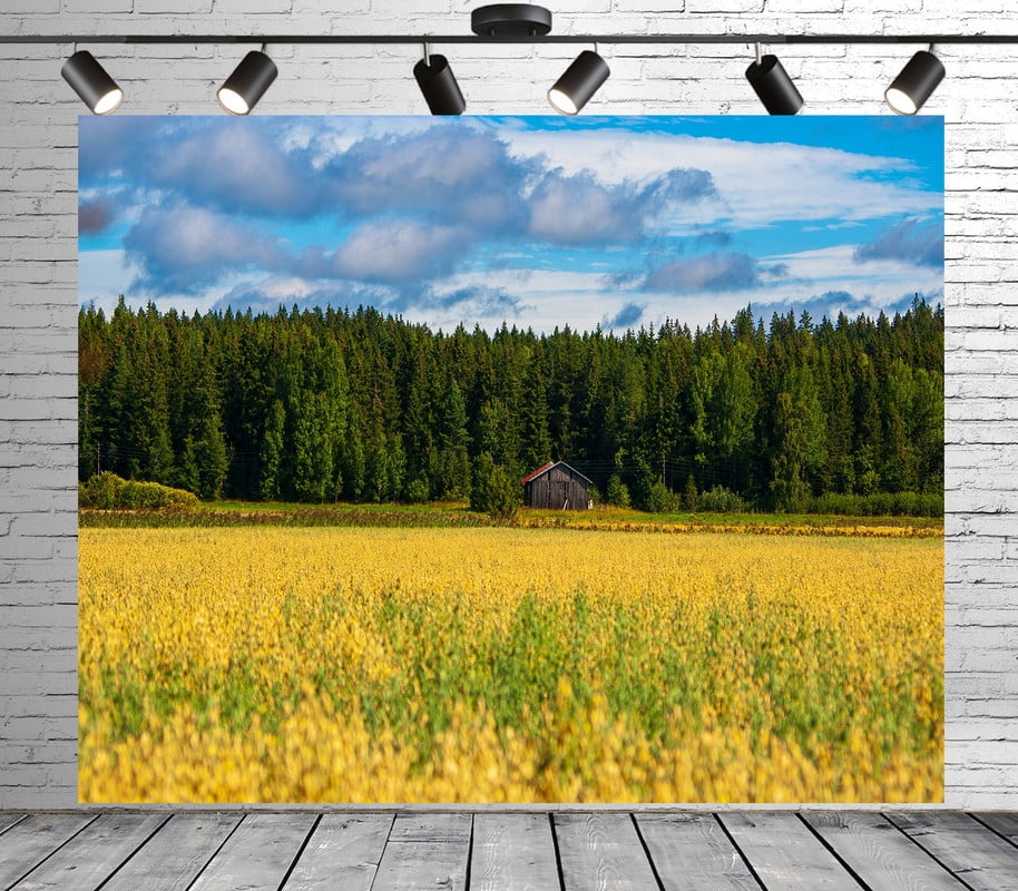 Diha 10x8ft Natural Forest Backdrop, Fields Woods Cabin Sky, Backdrop ...