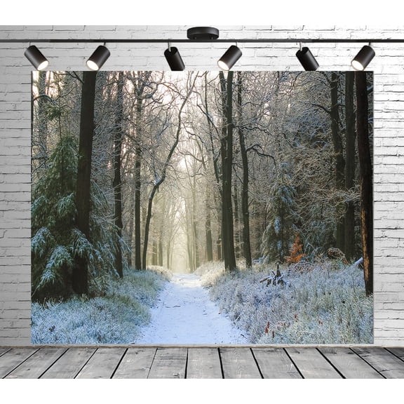 Diha 12x10ft Winter Forest Backdrop, Trees And Roads Covered With Light Snow, Backdrop for Party Decoration, Outdoor Theme Bedroom Wedding Day Photoshoot Background, Kids Game Video Studio Props