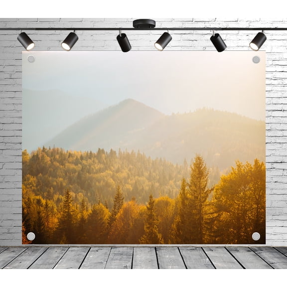 Diha 5x3ft Natural Forest Backdrop, Autumn forest soft sunlight golden tones, Backdrop for Party Decoration, Outdoor Theme Bedroom Wedding Day Photoshoot Background, Kids Game Video Studio Props