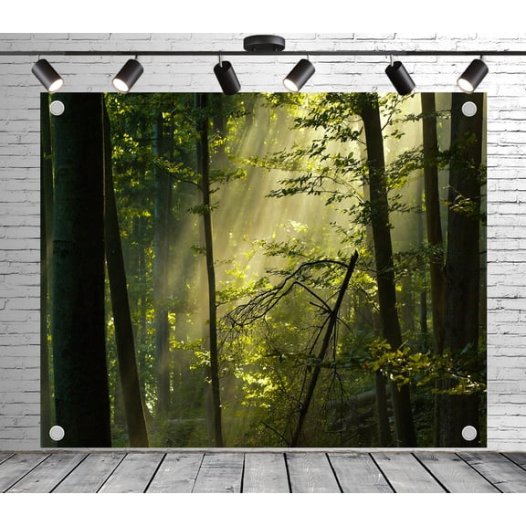 Diha 5x3ft Natural Forest Backdrop, Sunny Trees, Backdrop for Party Decoration, Outdoor Theme Bedroom Wedding Day Photoshoot Background, Kids Game Video Studio Props