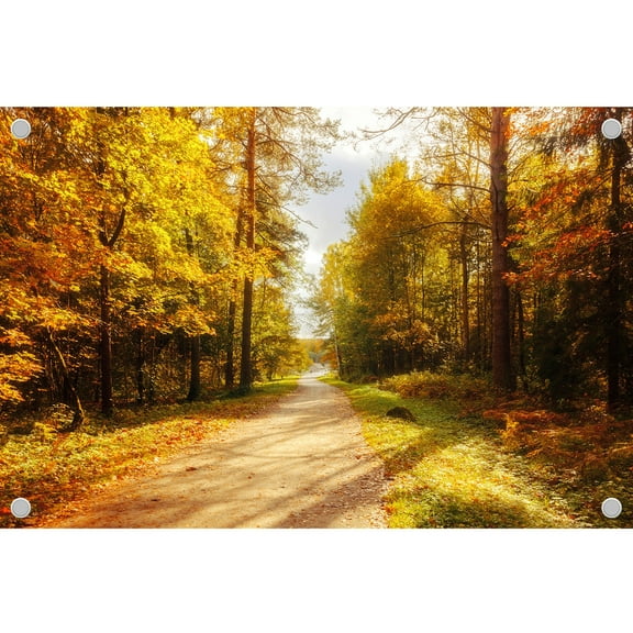 Diha 5x3ft Natural Ncenery Backdrop, blue sky forest grass stream, Backdrop for Birthday Party Decoration, Outdoor Theme、bedroom、Wedding Day、Photoshoot Background Kids Game Video Studio Props