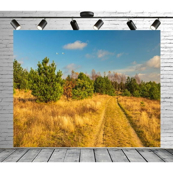 Diha 5x4ft Countryside Forest Backdrop, Trees Vegetation Path Sky, Backdrop for Party Decoration, Outdoor Theme Bedroom Wedding Day Photoshoot Background, Kids Game Video Studio Props