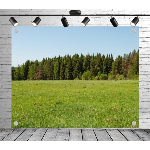 Diha 5x4ft Natural Forest Backdrop, Grassland Tree Sky, Backdrop for Party Decoration, Outdoor Theme Bedroom Wedding Day Photoshoot Background, Kids Game Video Studio Props