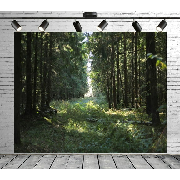 Diha 5x4ft Natural Forest Backdrop, Pine Trees Weedy Path, Backdrop for Party Decoration, Outdoor Theme Bedroom Wedding Day Photoshoot Background, Kids Game Video Studio Props