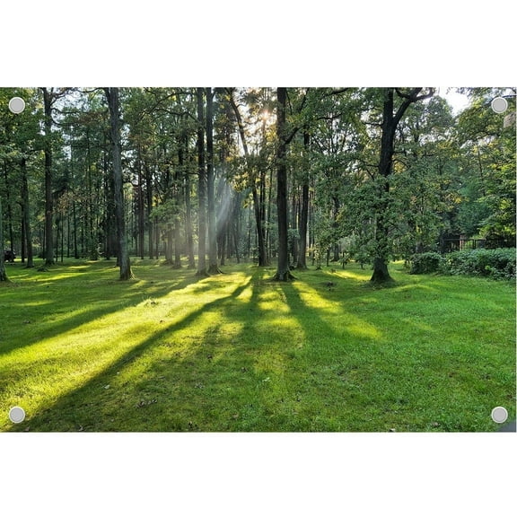 Diha 6x4ft Spring Forest Backdrop Trees Sunlight Green Grassland Backdrop for Birthday Party Decoration, Outdoor Theme、Wedding Day、Photoshoot Background Kids Game Video Studio Props