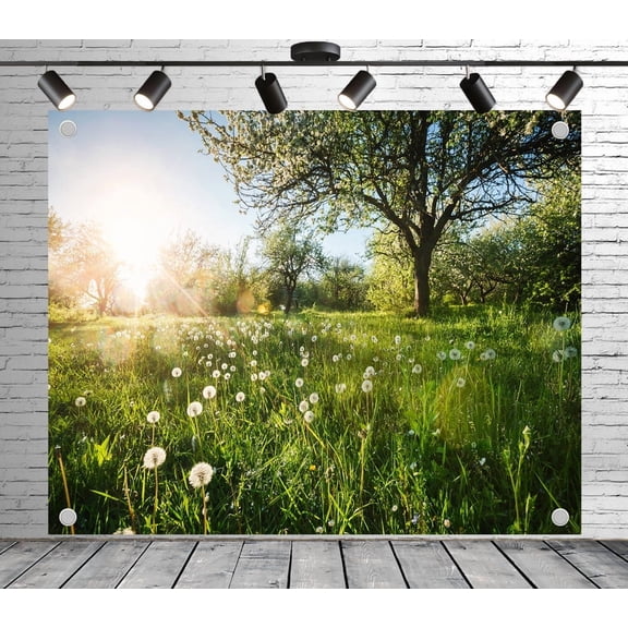 Diha 6x4ft Spring Meadow Backdrop – Dandelion Field, Morning Sunlight, Blooming Trees and Green Grass Banner for Wedding, Spring Party, Photo Booth, Reusable & Collapsible
