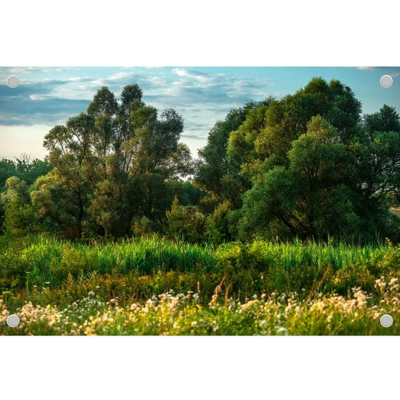 Diha 6x4ft Summer Forest Backdrop, Blue sky lush vegetation tall trees, Backdrop for Birthday Party Decoration, Outdoor Theme、bedroom、Wedding Day、Photoshoot Background Kids Game Video Studio Props