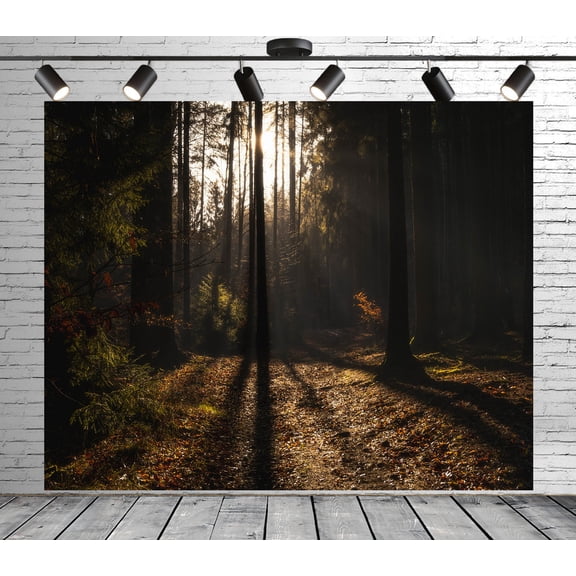 Diha 7x5ft Autumn Forest Backdrop, Trees Sunshine Ground, Backdrop for Party Decoration, Outdoor Theme Bedroom Wedding Day Photoshoot Background, Kids Game Video Studio Props