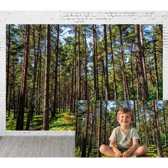 Diha 9x6ft Fabric Outdoor Background Natural Scenery Style Pine Forest Moss Peaceful Atmosphere Picnic Camping Hiking Home Decoration Photography Background