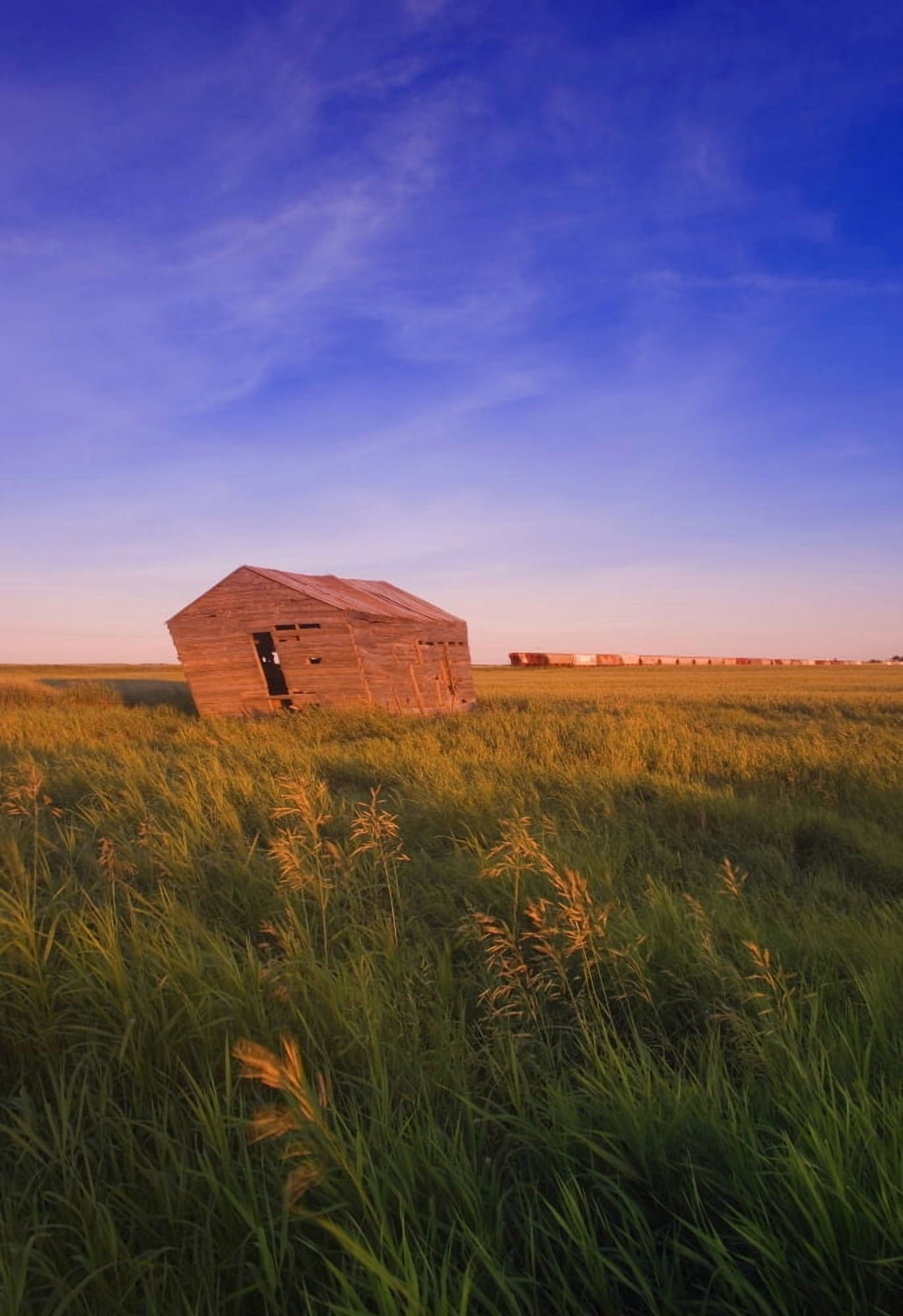 Dilapidated Shack In A Field Canvas Art - Carson Ganci Design Pics (11 x 17)