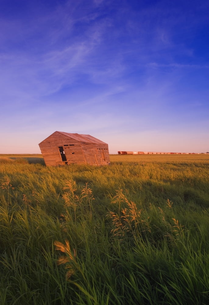 Dilapidated Shack In A Field Canvas Art - Carson Ganci Design Pics (22 x 34)