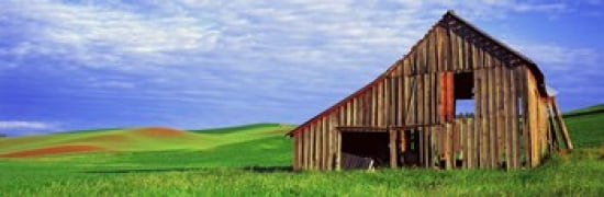 Dilapidated barn in a farm Palouse Whitman County Washington State USA Canvas Art - Panoramic Images (36 x 12)