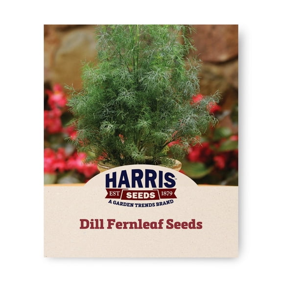 Harris Seeds Fernleaf Dill Herb, Compact Slow-Bolting Dill Variety for Containers and Gardens, 100 Count