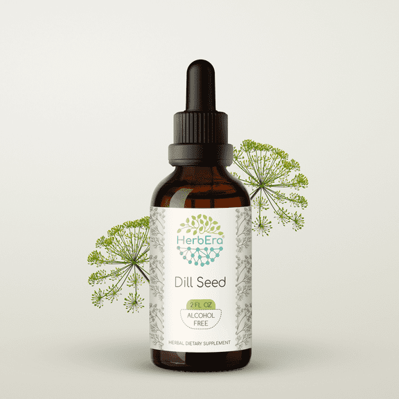 HerbEra Dill Seed Tincture, Herbal Dietary Supplement for Digestive Support, Dill Seed (Anethum graveolens) Dried Seed Extract, Natural, Alcohol-Free, Drops 2 oz