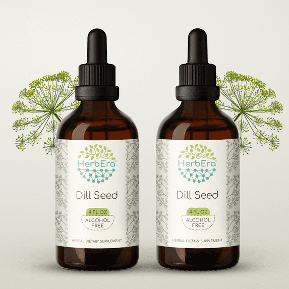 HerbEra Dill Seed Tincture, Herbal Dietary Supplement for Digestive Support, Dill Seed (Anethum graveolens) Dried Seed Extract, Natural, Alcohol-Free, Drops 2x4 oz