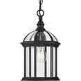 thumbnail image 1 of Dillard Collection One-Light Traditional Textured Black Clear Glass Outdoor Hanging Light, 1 of 2