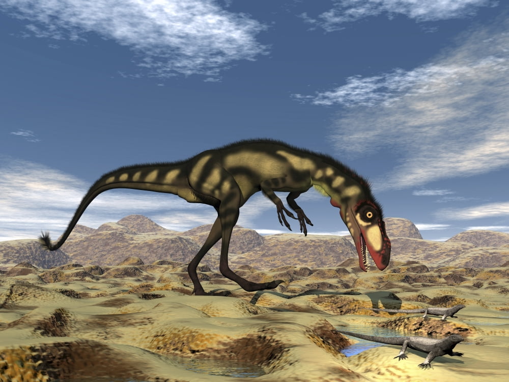 Dilong dinosaur hunting small lizards in the desert Canvas Art - Elena DuvernayStocktrek Images (33 x 25)