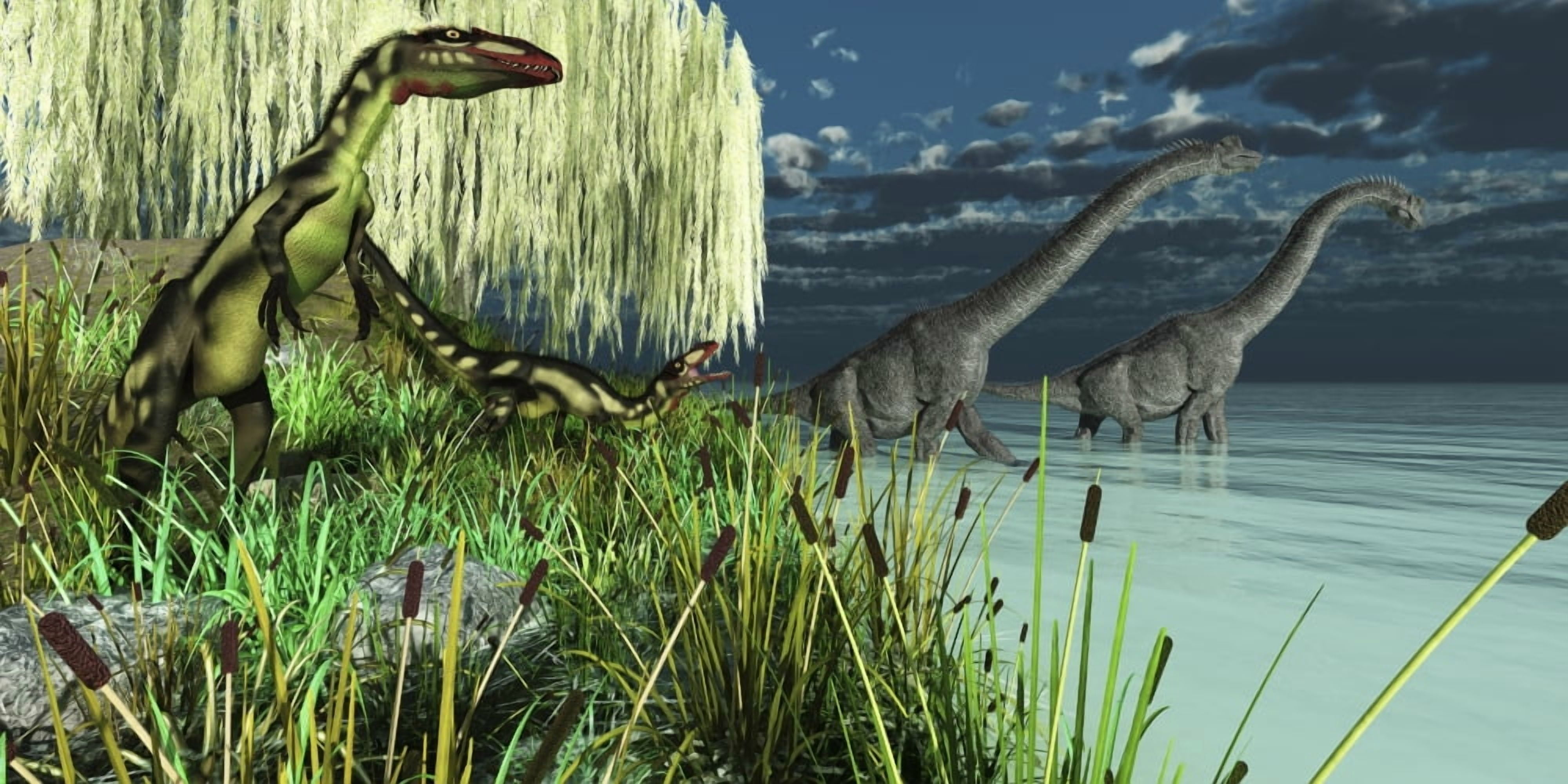 Dilong dinosaurs watch two Brachiosaurus wade across a lake Canvas Art - Corey FordStocktrek Images (20 x 10)