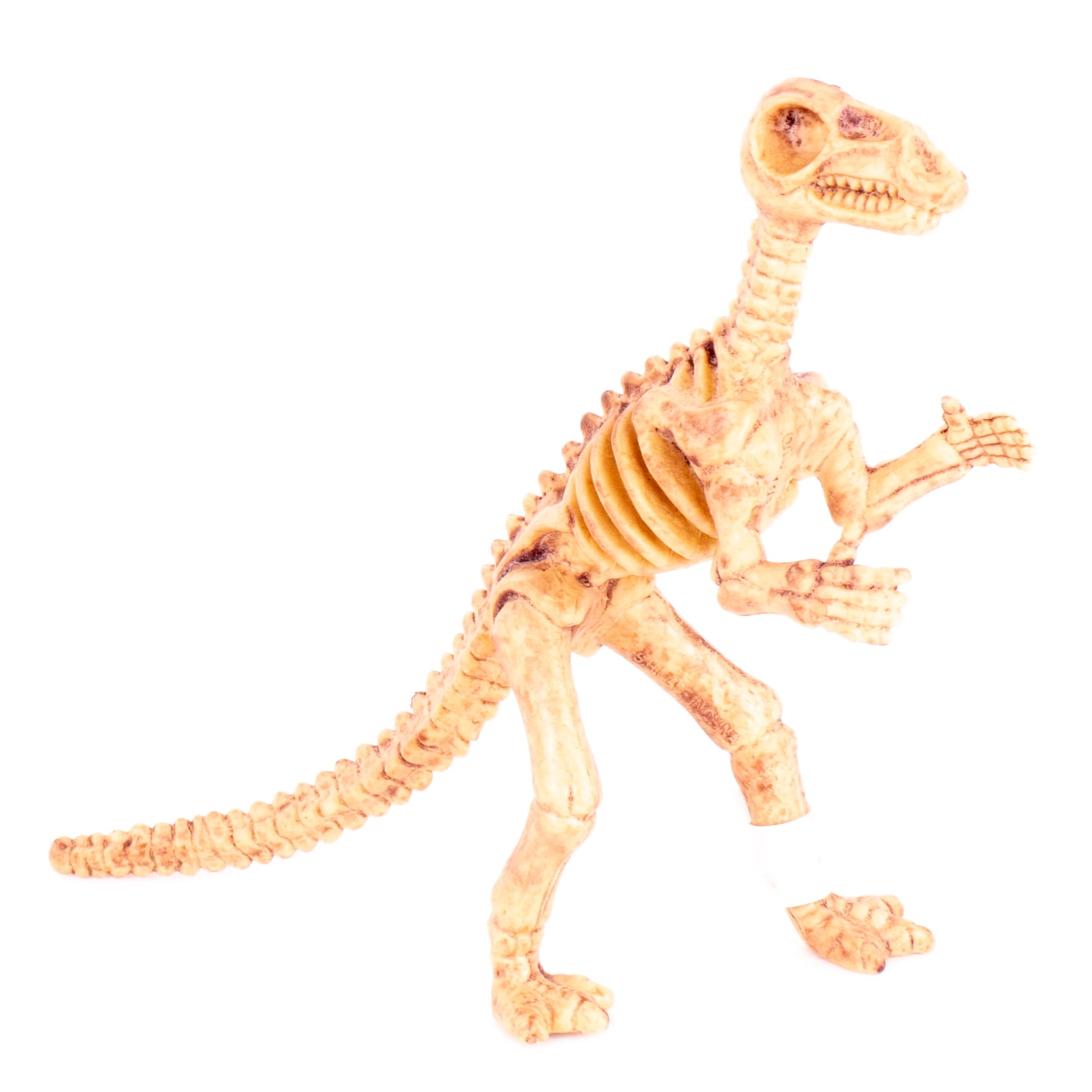 Parasaurolophus Hammer Head Skeleton Bones Toy 6 Parasaurolophus Hammer Head Skeleton Bones Toy 6