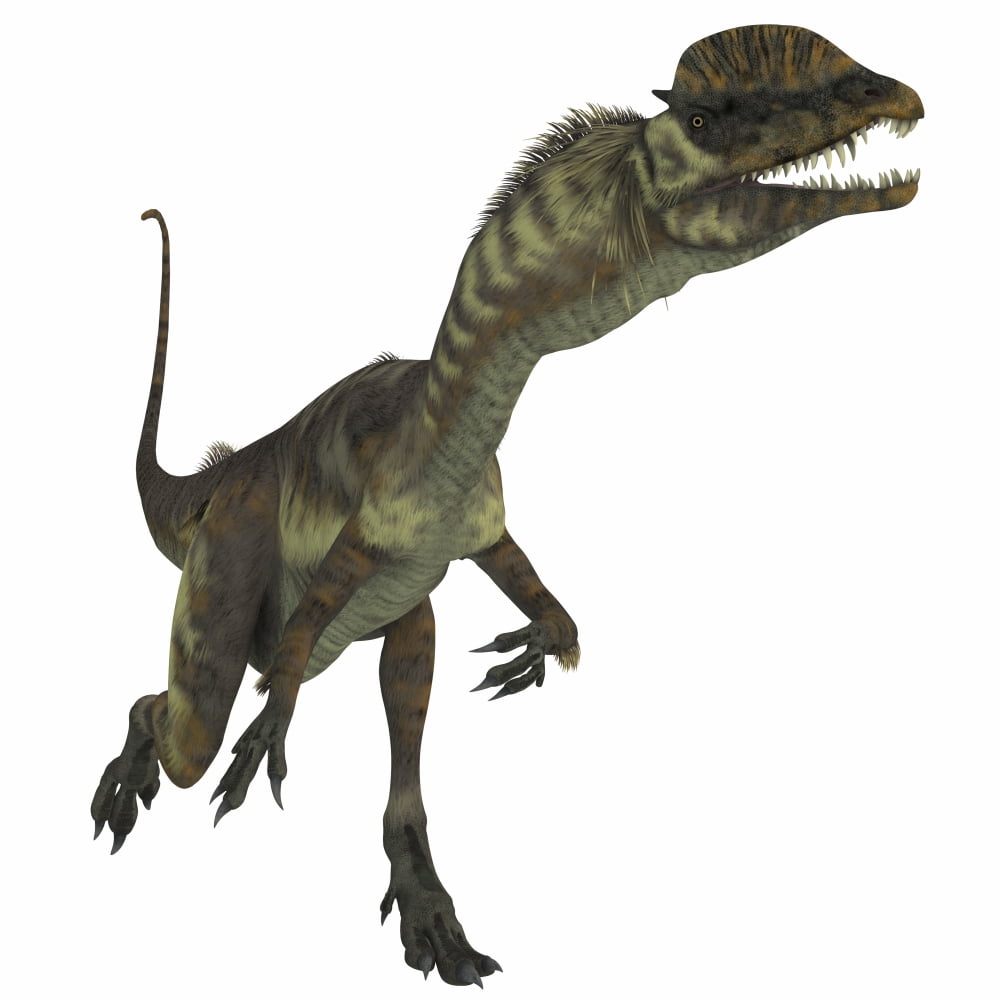 Dilophosaurus dinosaur Canvas Art - Corey FordStocktrek Images (29 x 29)