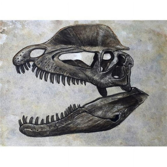 Dilophosaurus dinosaur skull Poster Print