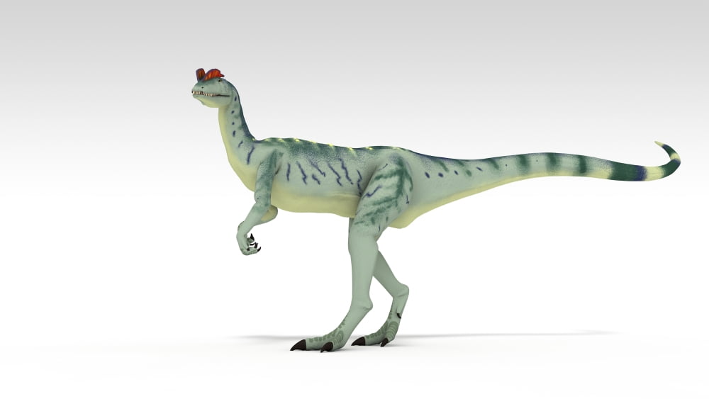 Dilophosaurus dinosaur white background Canvas Art - Kostyantyn IvanyshenStocktrek Images (19 x 11)