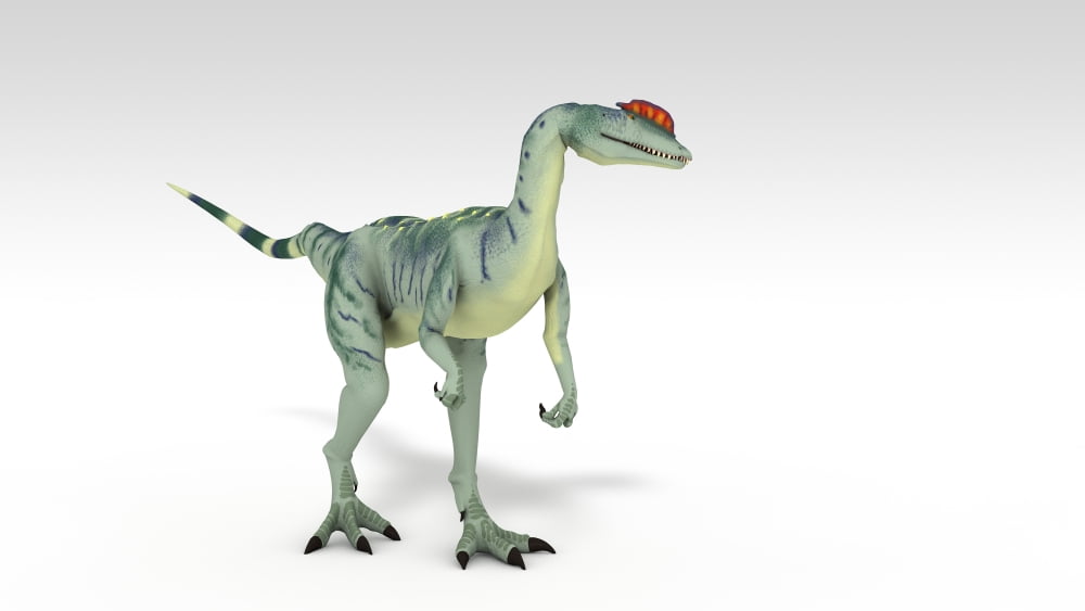 Dilophosaurus dinosaur white background Canvas Art - Kostyantyn IvanyshenStocktrek Images (38 x 22)