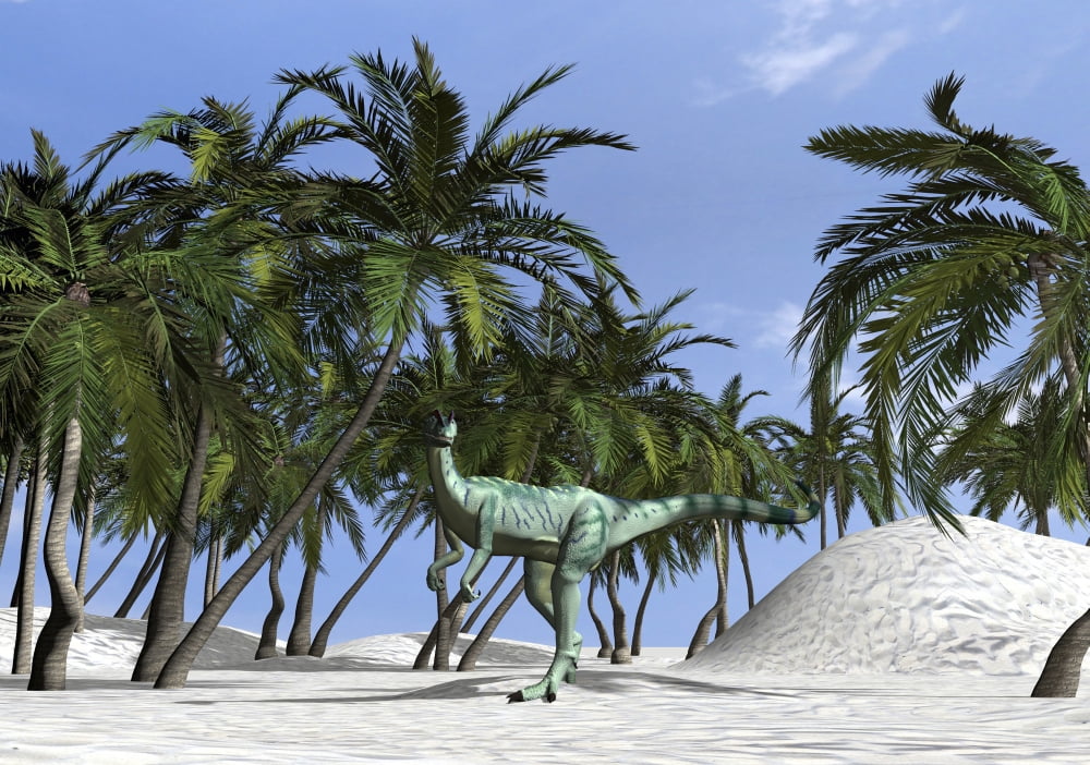 Dilophosaurus hunting for its next meal Canvas Art - Kostyantyn IvanyshenStocktrek Images (34 x 24)