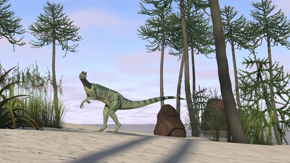 Dilophosaurus hunting for its next meal Canvas Art - Kostyantyn IvanyshenStocktrek Images (38 x 22)