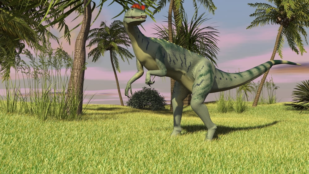 Dilophosaurus hunting in a field for its next meal Canvas Art - Kostyantyn IvanyshenStocktrek Images (38 x 22)