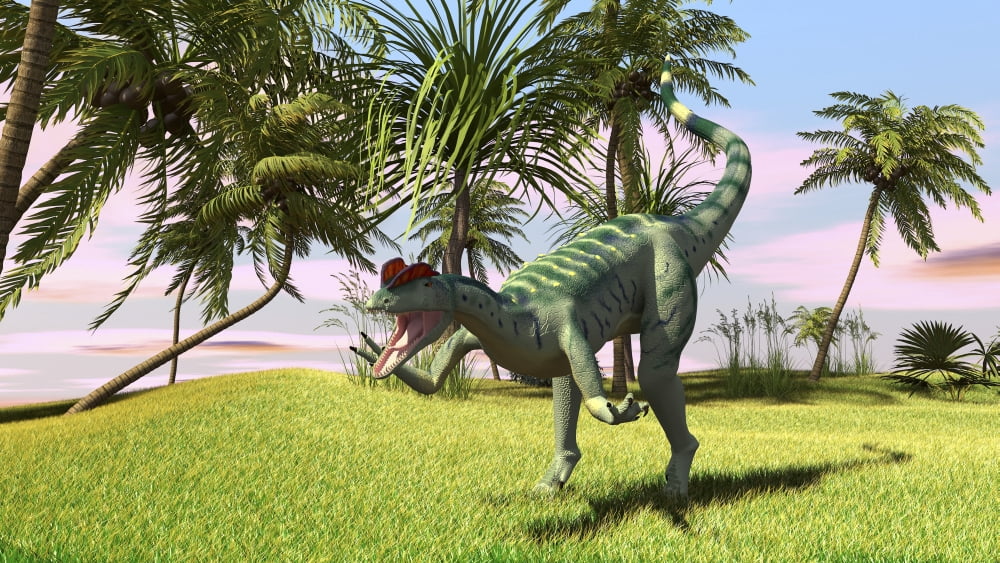 Dilophosaurus hunting in a field for its next meal Canvas Art - Kostyantyn IvanyshenStocktrek Images (38 x 22)