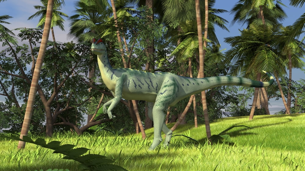 Dilophosaurus hunting in a prehistoric environment Canvas Art - Kostyantyn IvanyshenStocktrek Images (19 x 11)