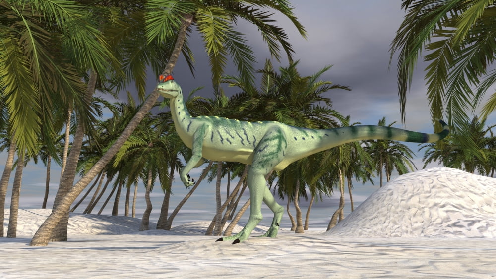 Dilophosaurus hunting in an arid climate Canvas Art - Kostyantyn IvanyshenStocktrek Images (38 x 22)
