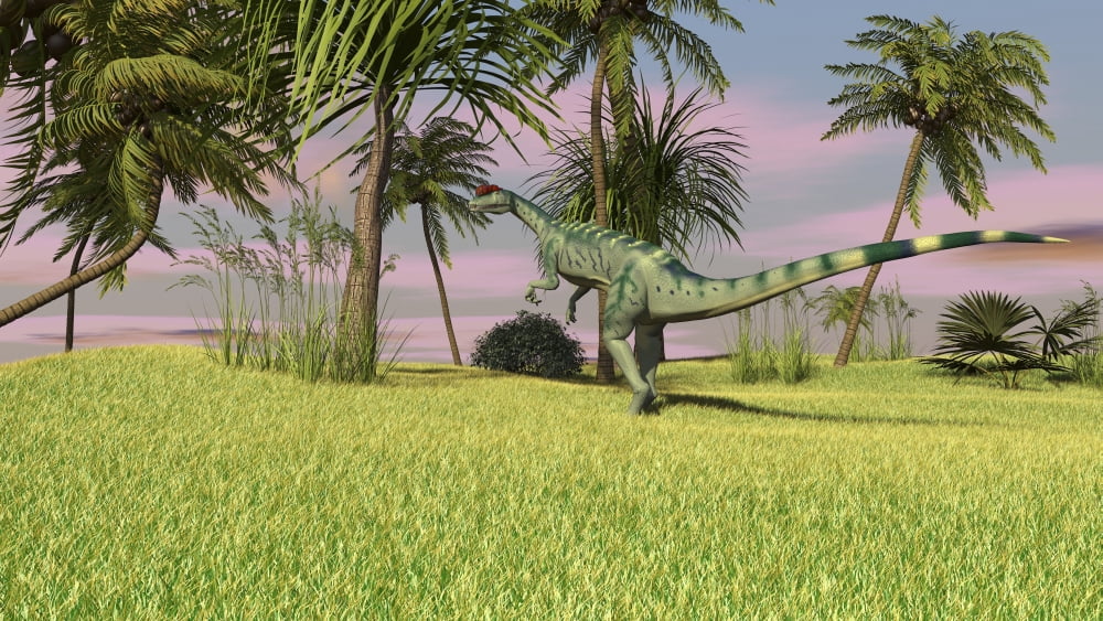Dilophosaurus hunting in an open field Canvas Art - Kostyantyn IvanyshenStocktrek Images (19 x 11)