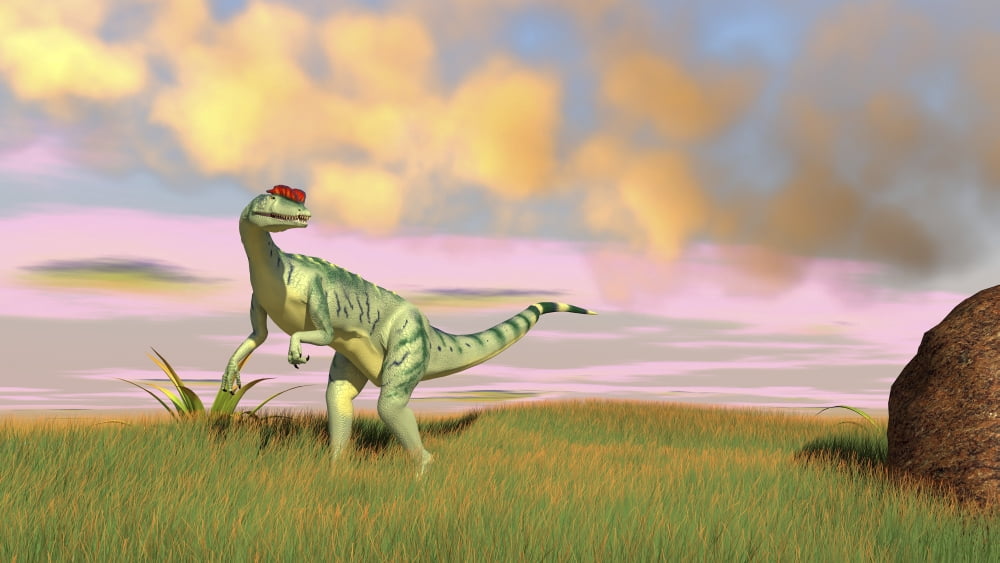 Dilophosaurus hunting in an open field Canvas Art - Kostyantyn IvanyshenStocktrek Images (38 x 22)