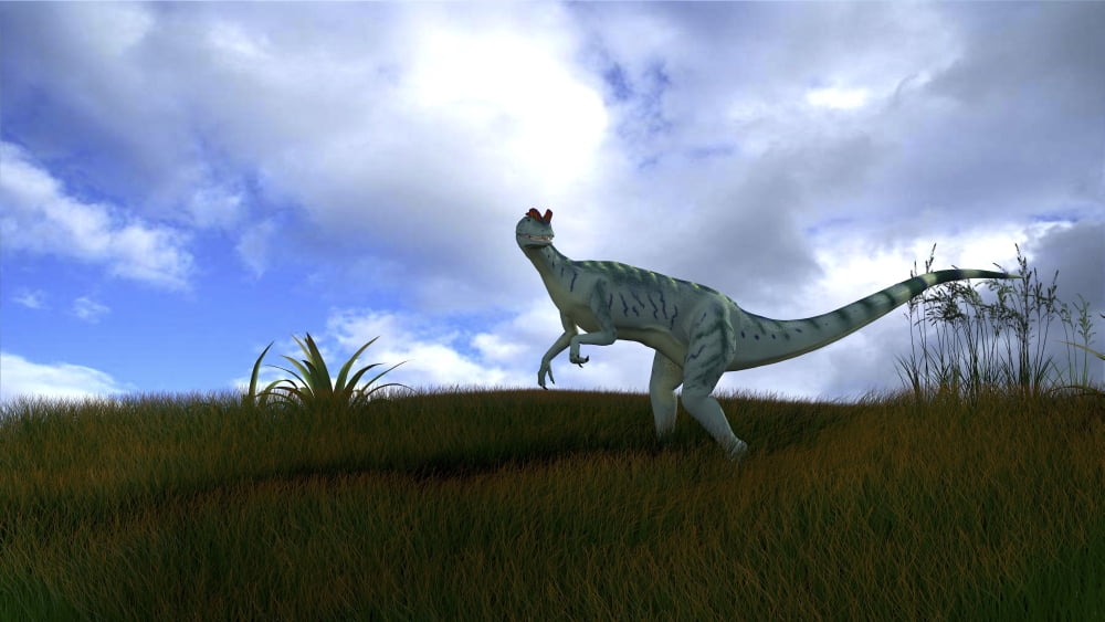Dilophosaurus in a grassy field Canvas Art - Kostyantyn IvanyshenStocktrek Images (19 x 11)