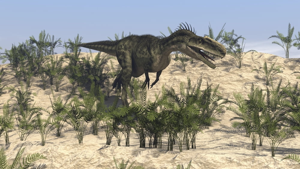 Dilophosaurus running across desert terrain Canvas Art - Kostyantyn IvanyshenStocktrek Images (19 x 11)