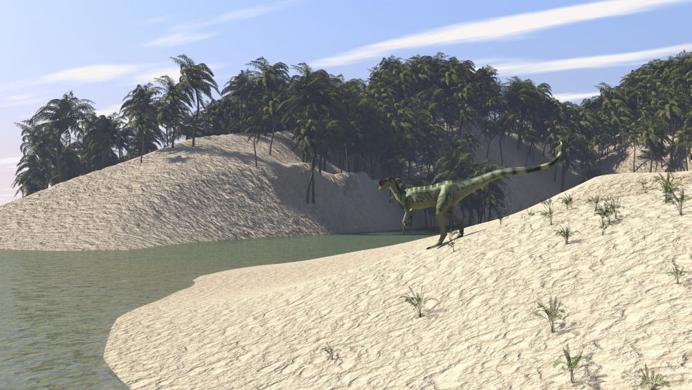 Dilophosaurus walking along the bay Canvas Art - Kostyantyn IvanyshenStocktrek Images (19 x 11)