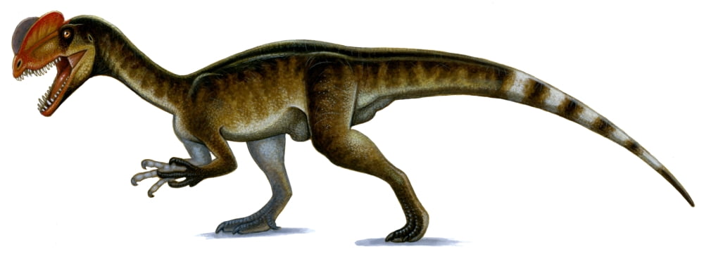 Dilophosaurus wetherilli Canvas Art - H Kyoht LutermanStocktrek Images (46 x 17)